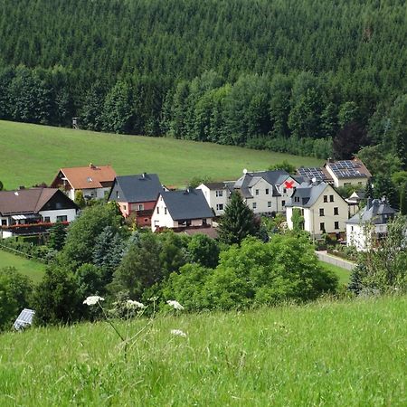 Ferienwohnung "Am Vaterlandsgrubenweg" Oelsnitz  Exterior photo